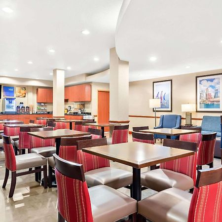 Comfort Suites Tampa Airport North Dış mekan fotoğraf
