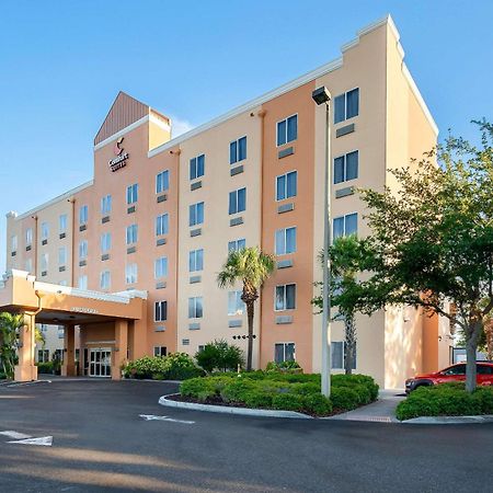Comfort Suites Tampa Airport North Dış mekan fotoğraf