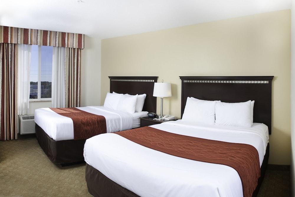 Comfort Suites Tampa Airport North Dış mekan fotoğraf