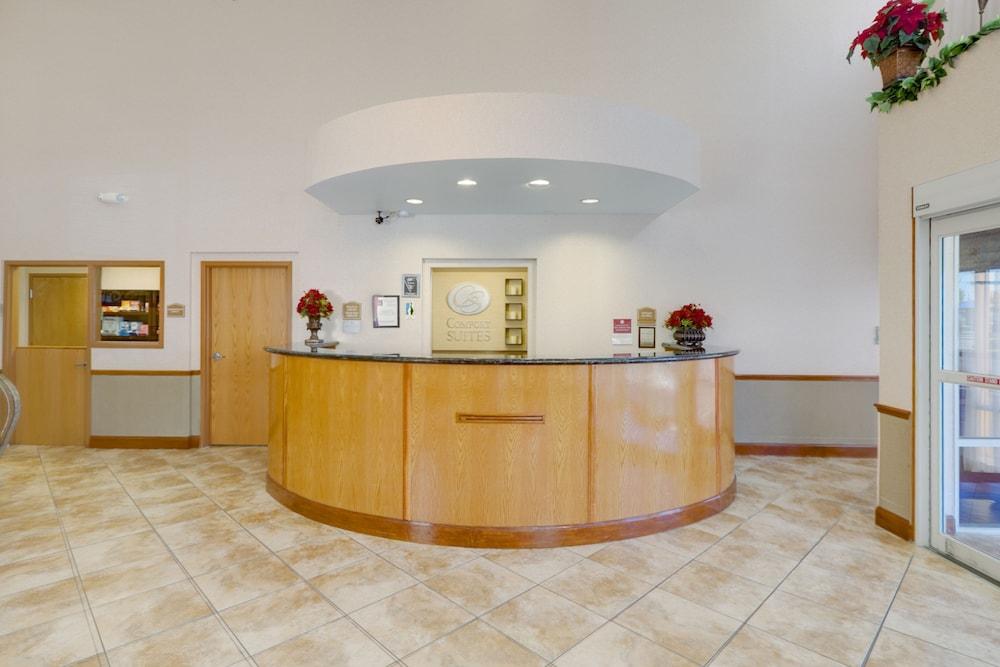 Comfort Suites Tampa Airport North Dış mekan fotoğraf