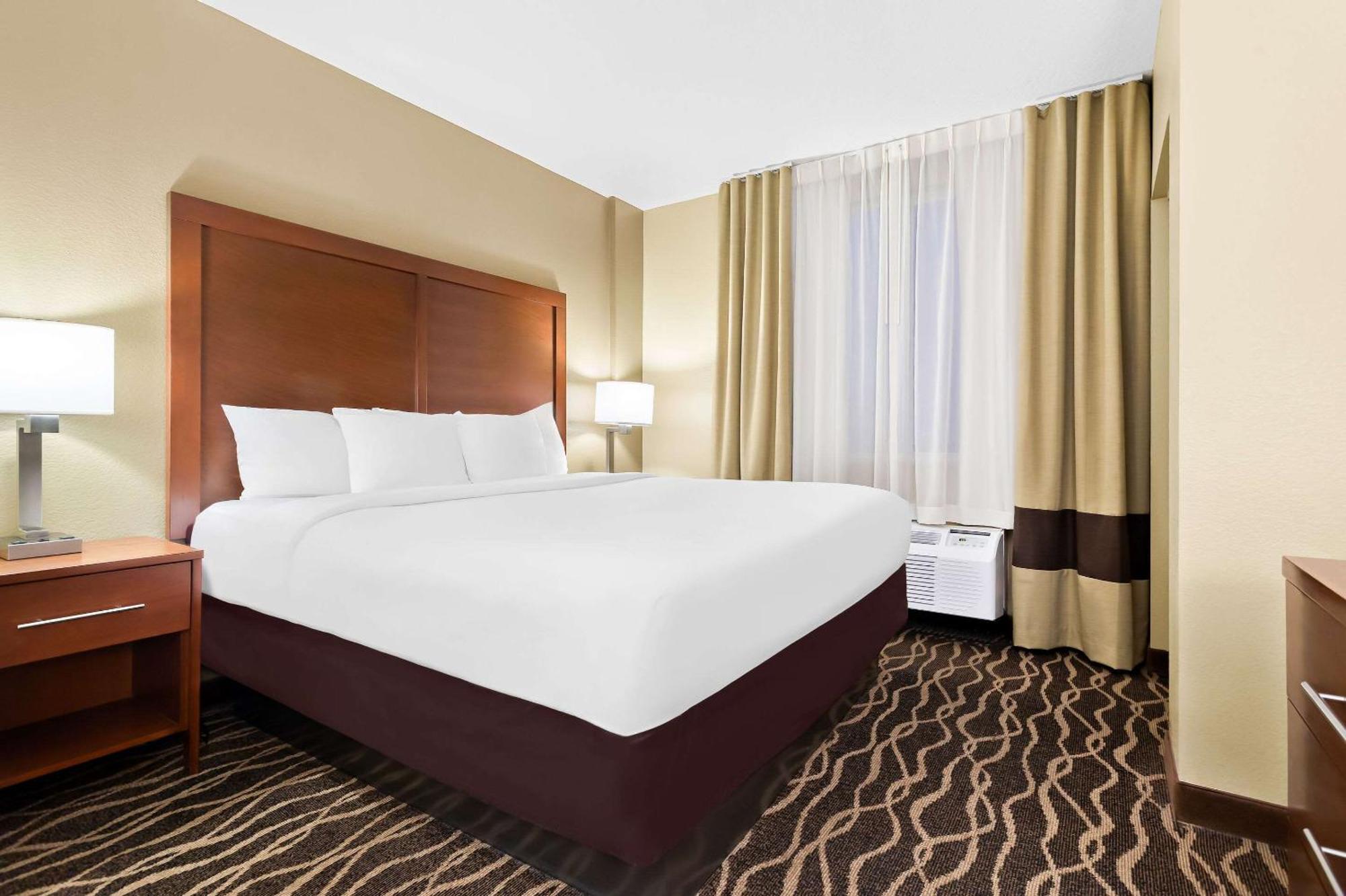 Comfort Suites Tampa Airport North Dış mekan fotoğraf