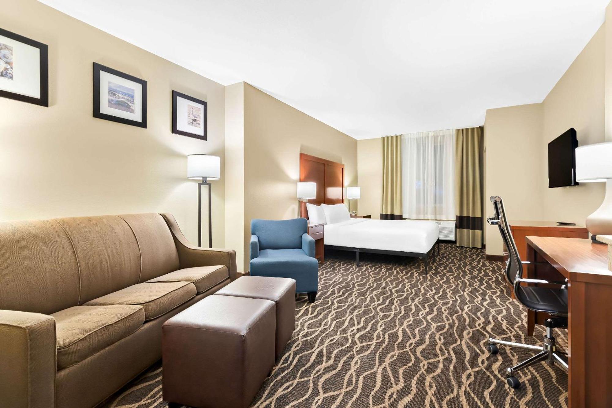 Comfort Suites Tampa Airport North Dış mekan fotoğraf