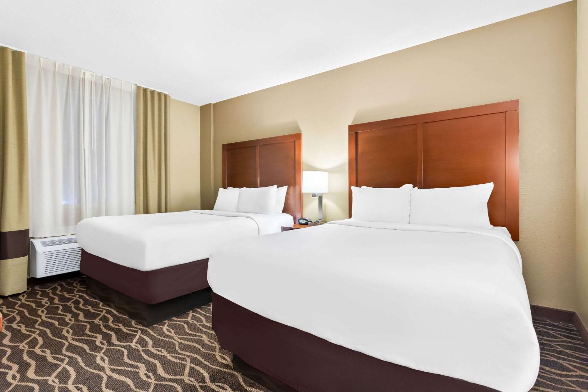 Comfort Suites Tampa Airport North Dış mekan fotoğraf