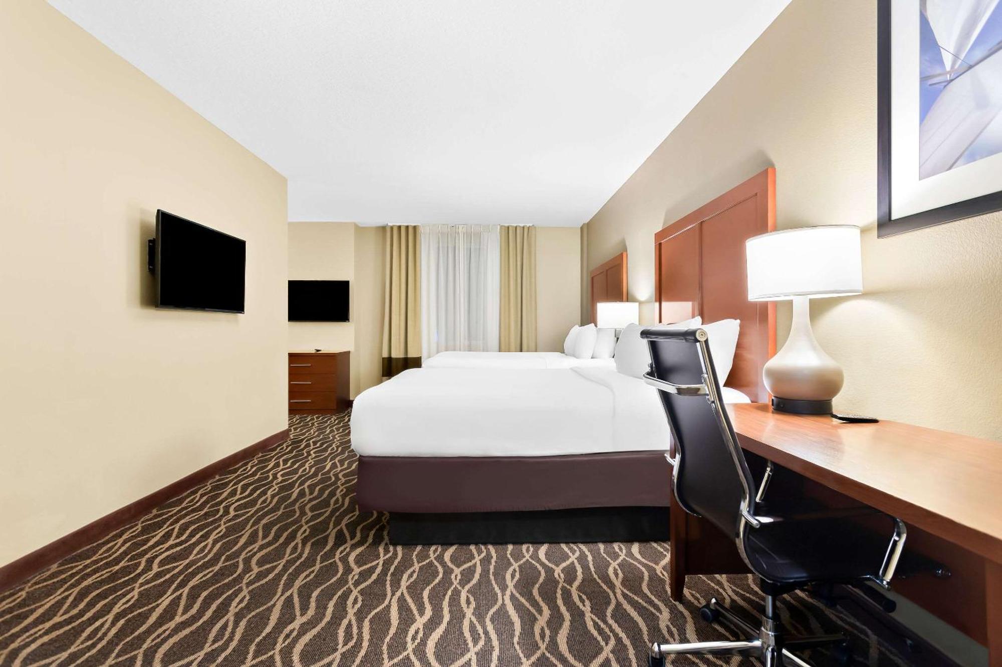 Comfort Suites Tampa Airport North Dış mekan fotoğraf