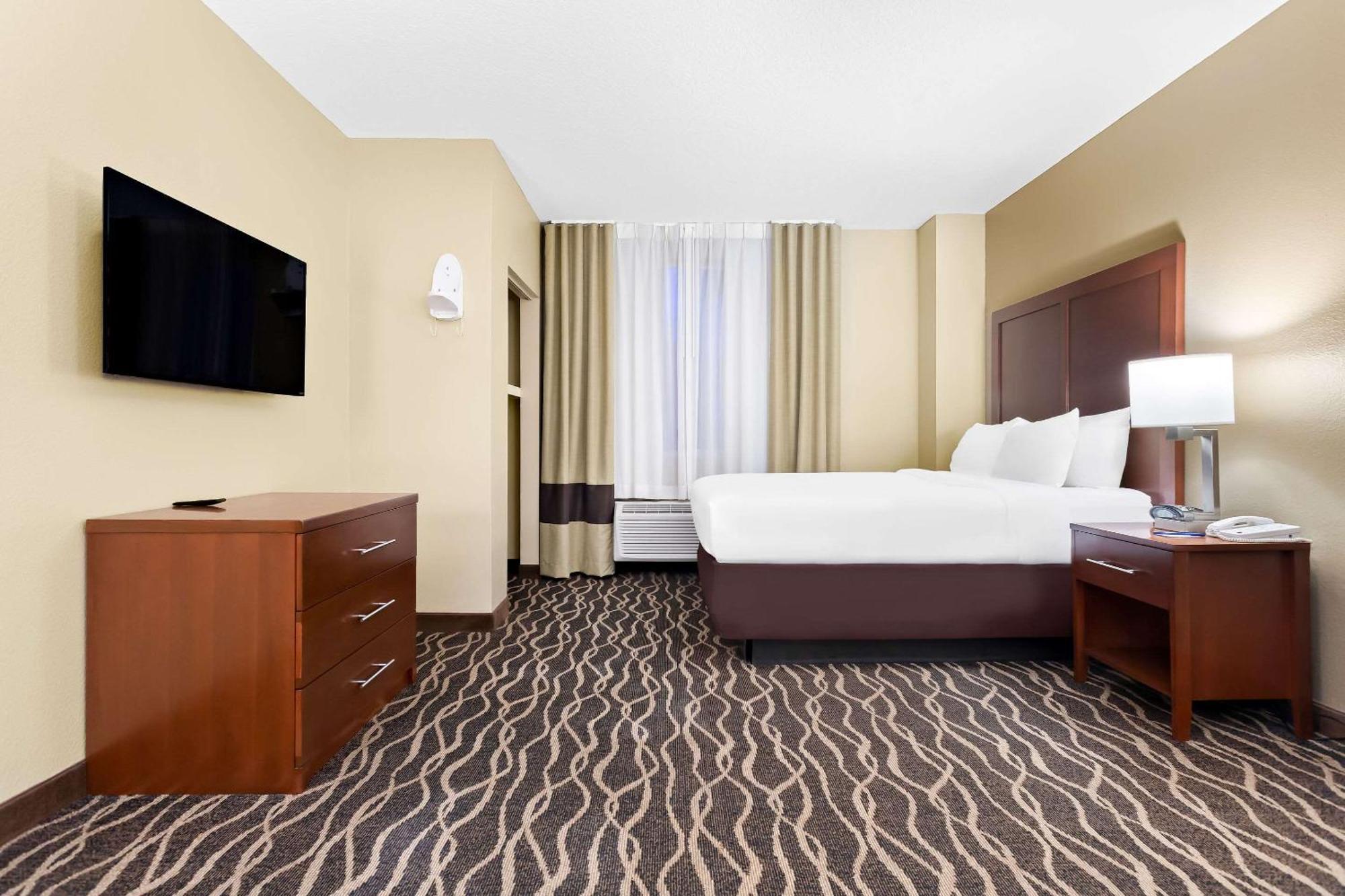 Comfort Suites Tampa Airport North Dış mekan fotoğraf