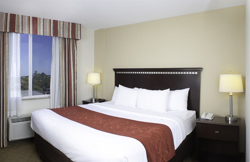 Comfort Suites Tampa Airport North Dış mekan fotoğraf