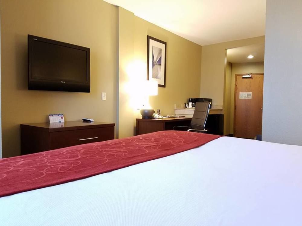 Comfort Suites Tampa Airport North Dış mekan fotoğraf