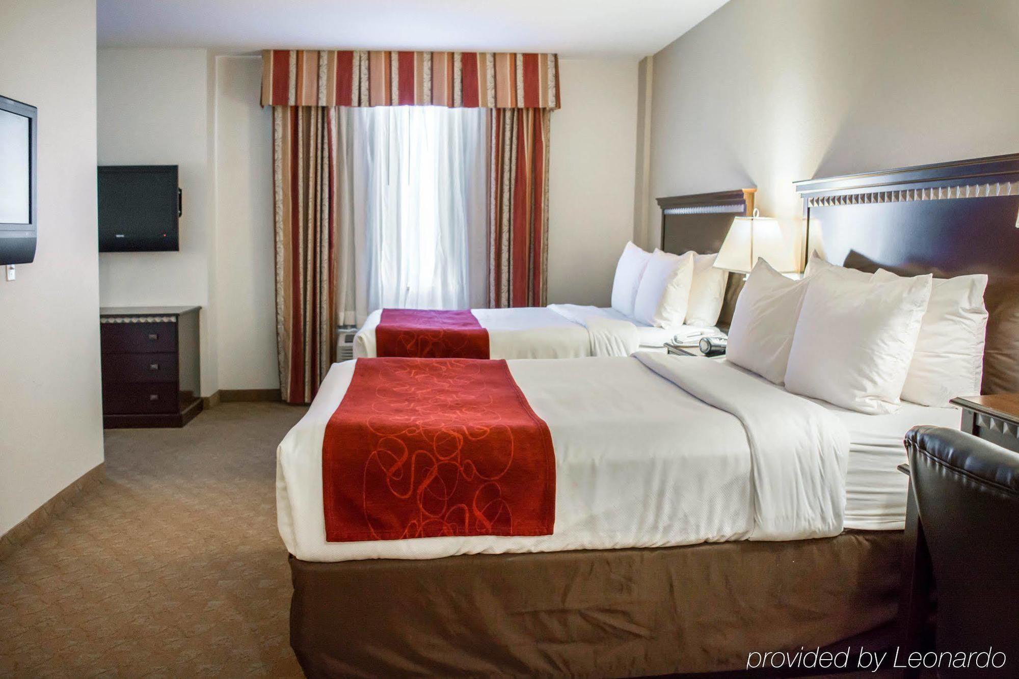 Comfort Suites Tampa Airport North Dış mekan fotoğraf
