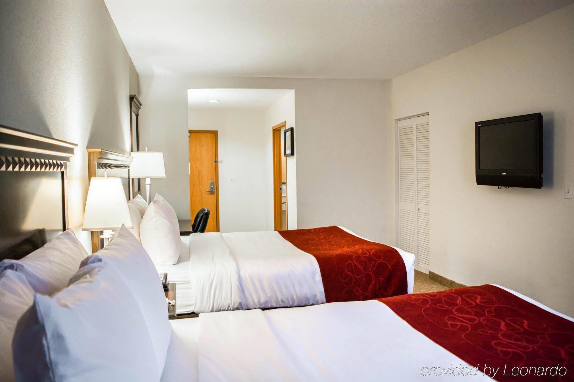 Comfort Suites Tampa Airport North Dış mekan fotoğraf